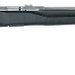 Savage B17 FVSS Bolt .17 HMR 21 10+1 Synthetic Black Stock Stainless - 10+1 