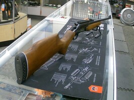 Rossi Wizard .243 *USED FIREARM*