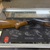Rossi SB20 20Ga Single Shot Shotgun -USED-