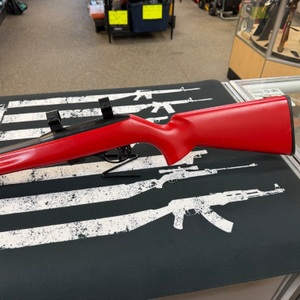 Remington 597 .22LR Semi-Auto Rifle -Dale Earnhardt JR Edition- USED-